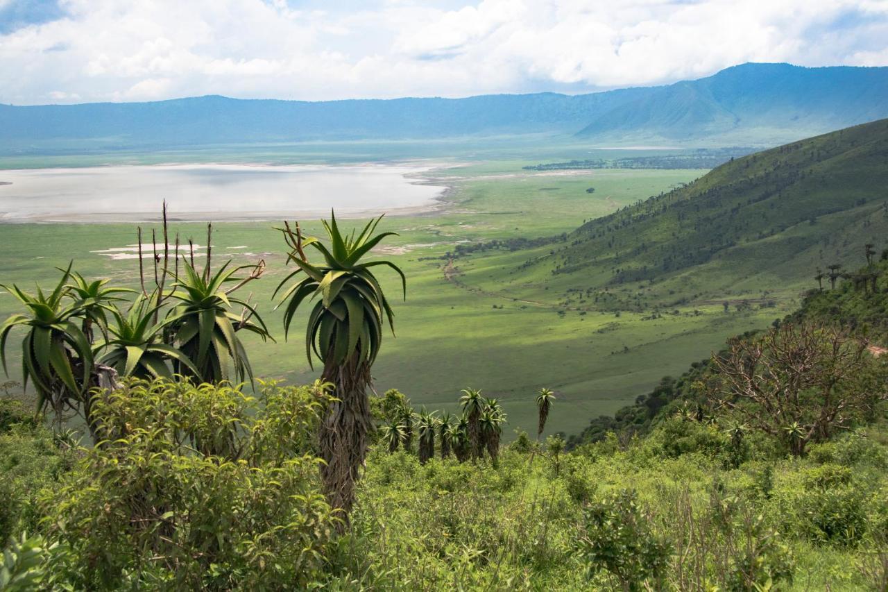 Africa Safari South Serengeti Ndutu Ngorongoro Sinoni Exterior photo