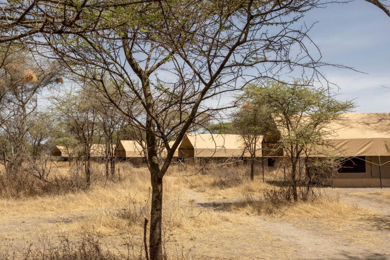 Africa Safari South Serengeti Ndutu Ngorongoro Sinoni Exterior photo