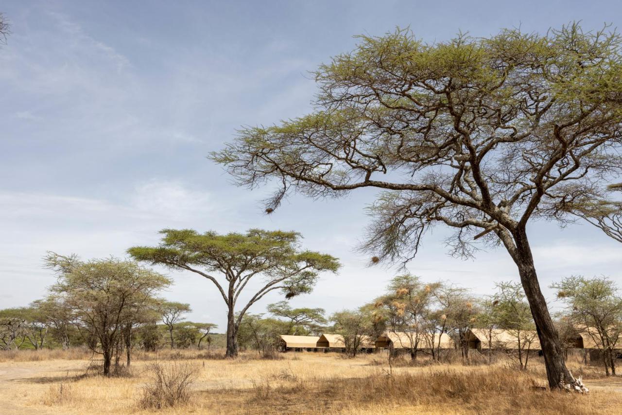 Africa Safari South Serengeti Ndutu Ngorongoro Sinoni Exterior photo