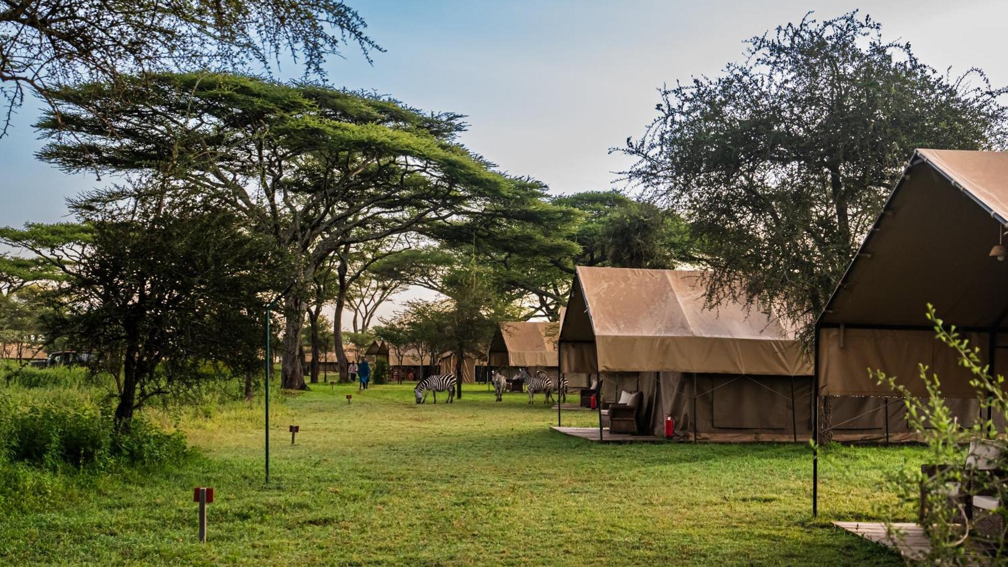 Africa Safari South Serengeti Ndutu Ngorongoro Sinoni Exterior photo