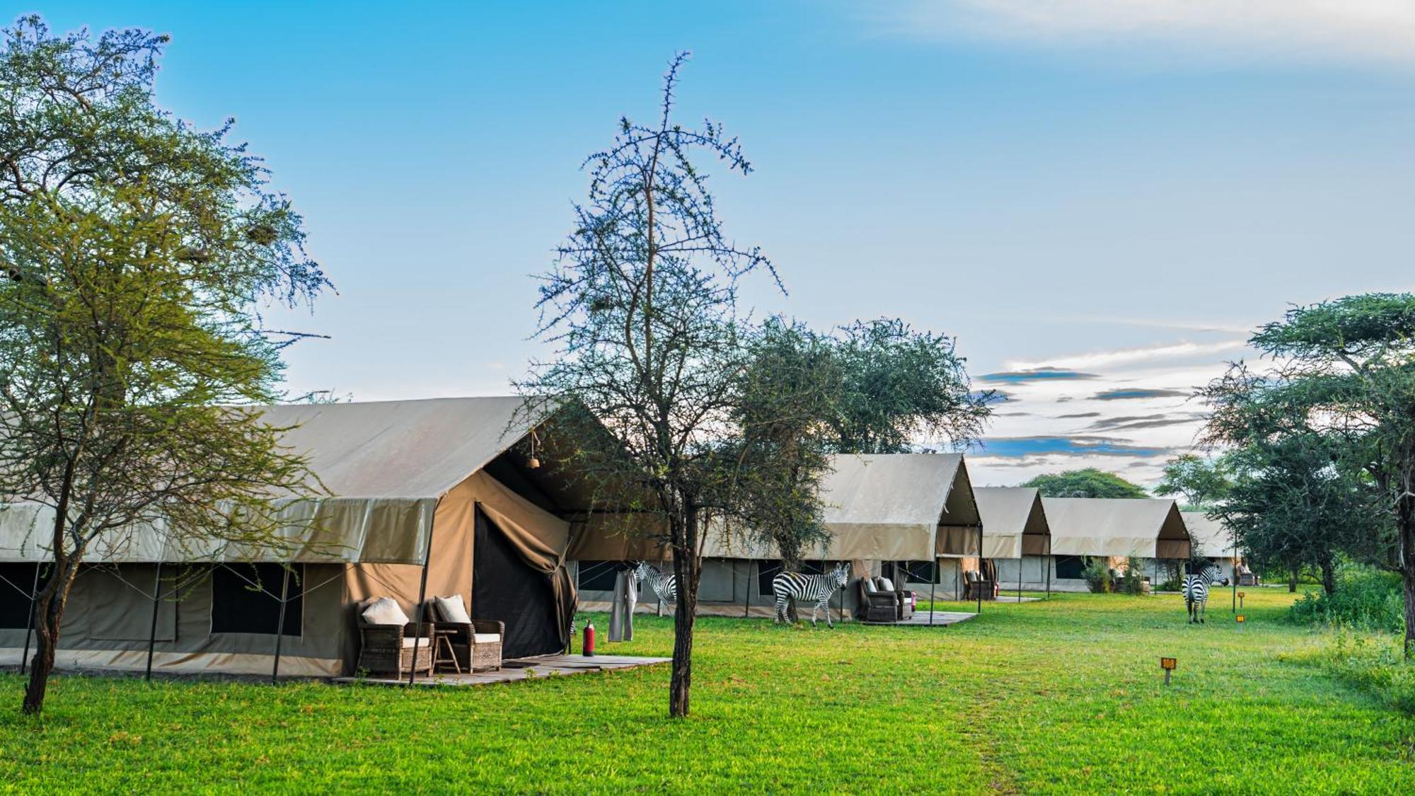 Africa Safari South Serengeti Ndutu Ngorongoro Sinoni Exterior photo