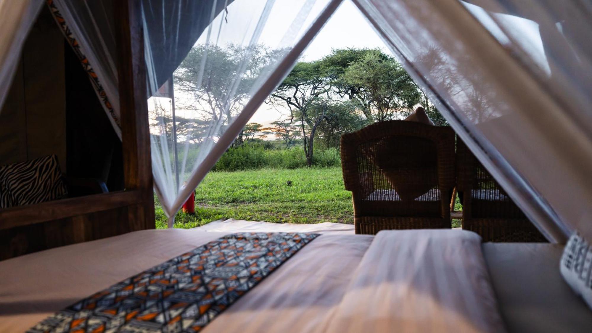 Africa Safari South Serengeti Ndutu Ngorongoro Sinoni Exterior photo