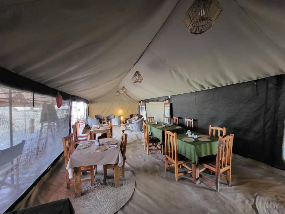 Africa Safari South Serengeti Ndutu Ngorongoro Sinoni Exterior photo